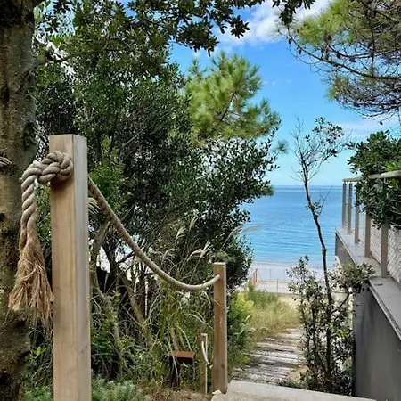 Avec Vue Sur Le Bassin * Pyla-sur-Mer